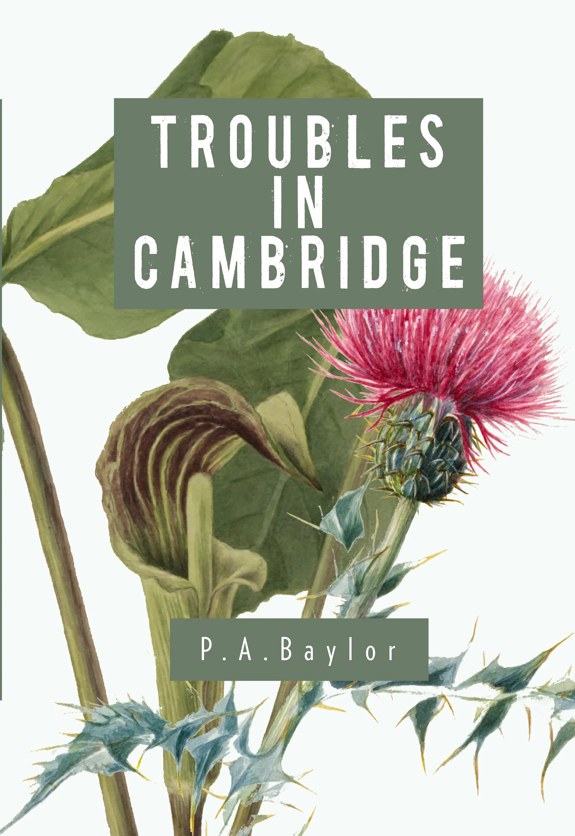 Front cover of Troubles in Cambridge by P. A. Baylor